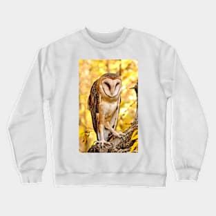 Barn Owl Crewneck Sweatshirt